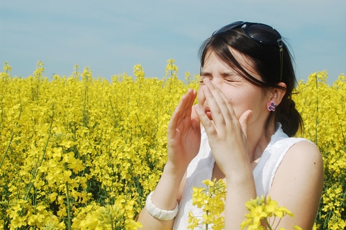 St. Louis – Ranks 20th Worst Cities for Spring Allergies!