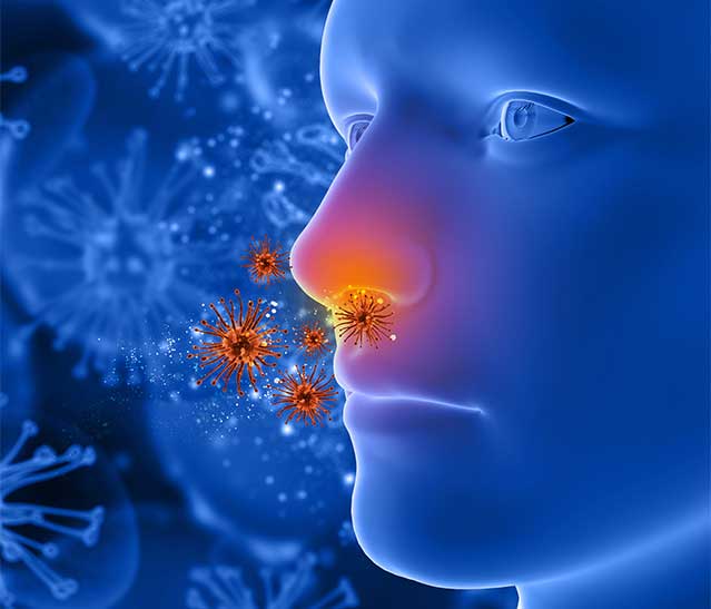 St Louis Sinus Center Allergy Calendar 