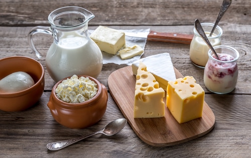 Various types of dairy products